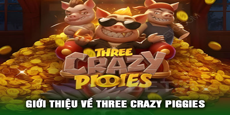 Giới Thiệu Về Three Crazy Piggies