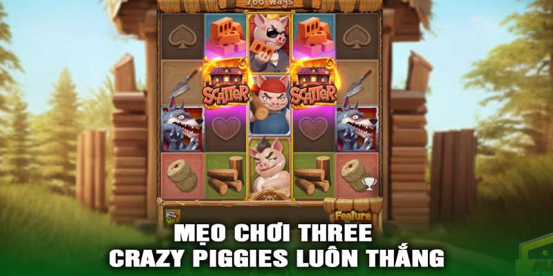 Mẹo Chơi Three Crazy Piggies Luôn Thắng