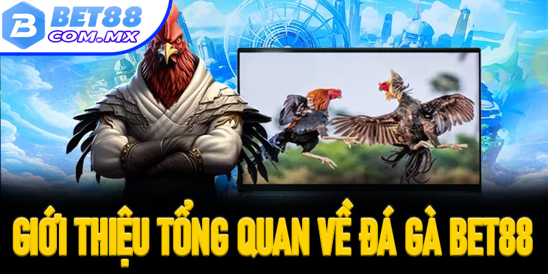 Giới thiệu tổng quan về đá gà Bet88