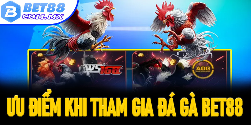 Những ưu điểm khi tham gia sảnh đá gà Bet88 cự hot 