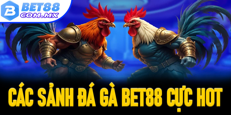 Các sảnh đá gà Bet88 cực hot