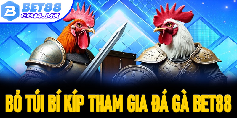 “Bỏ túi” bí kíp khi tham gia sảnh đá gà Bet88 cực hot