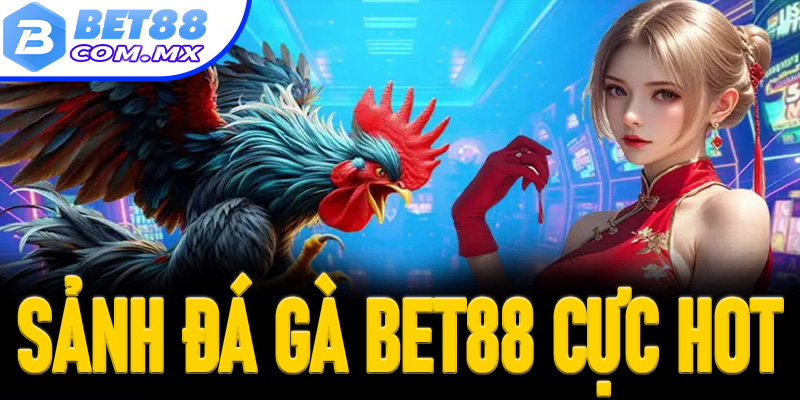 sảnh đá gà Bet88 cực hot
