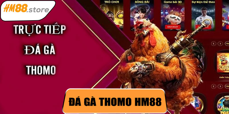 Đá Gà Thomo HM88 – Sân Chơi Cá Cược Đá Gà Đỉnh Cao