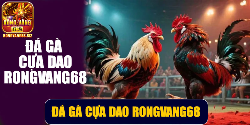 Đá gà cựa dao Rongvang68 – Trải nghiệm cá cược kịch tính và hấp dẫn