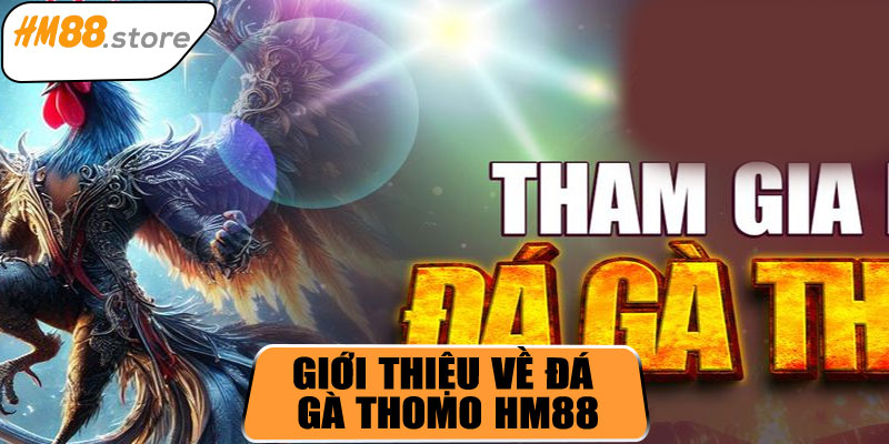 Giới thiệu về đá gà Thomo HM88