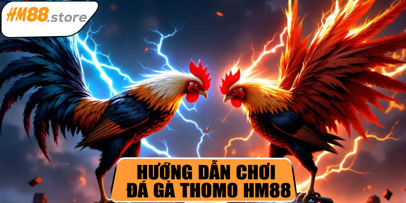 Hướng dẫn tham gia đá gà Thomo HM88