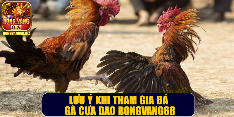 Lưu ý khi tham gia đá gà cựa dao Rongvang68