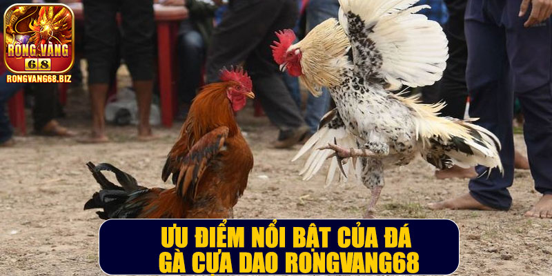 Ưu điểm nổi bật của đá gà cựa dao Rongvang68