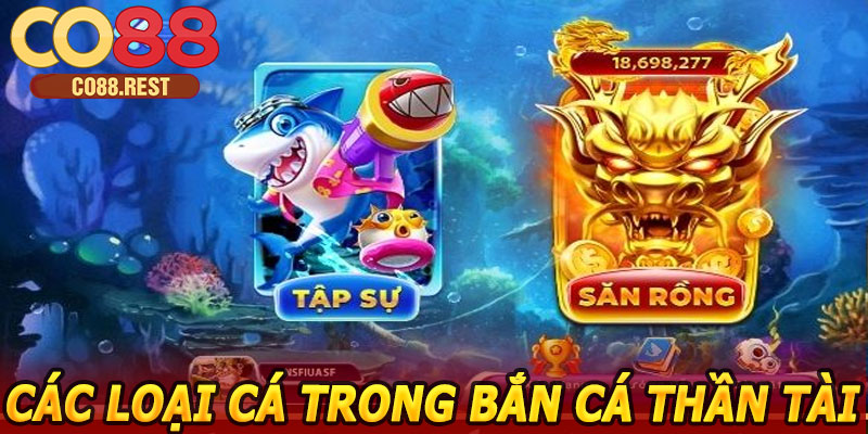 Các loại cá trong Bắn Cá Thần Tài CO88