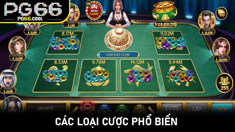 Các loại cược phổ biến